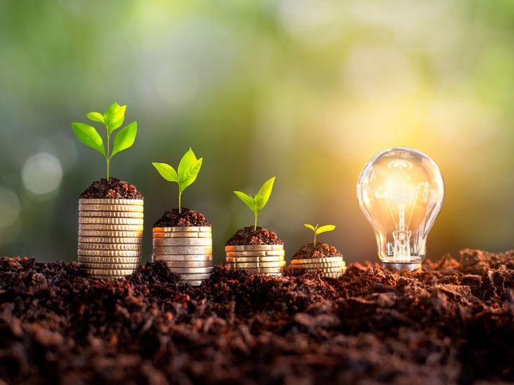 Green Project Advisory